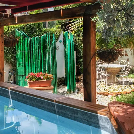 Therme Appiae By Persia Collection * Rome