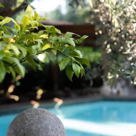 Therme Appiae By Persia Collection Villa Rome
